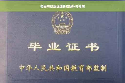 档案与毕业证遗失应急补办指南