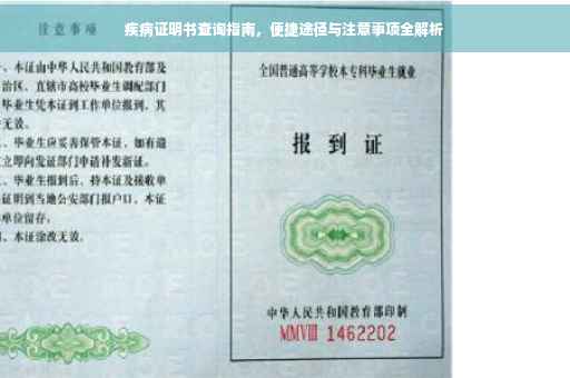疾病证明书查询指南，便捷途径与注意事项全解析
