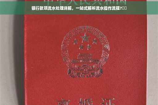 银行款项流水处理详解，一站式解析流水操作流程?⚡️