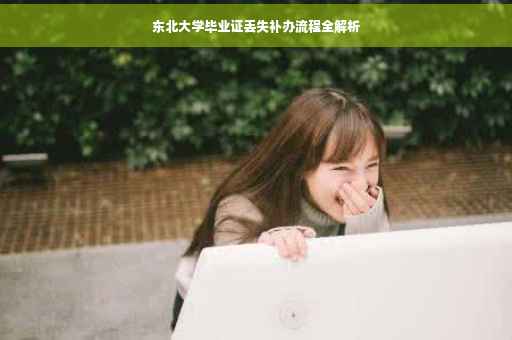 东北大学毕业证丢失补办流程全解析