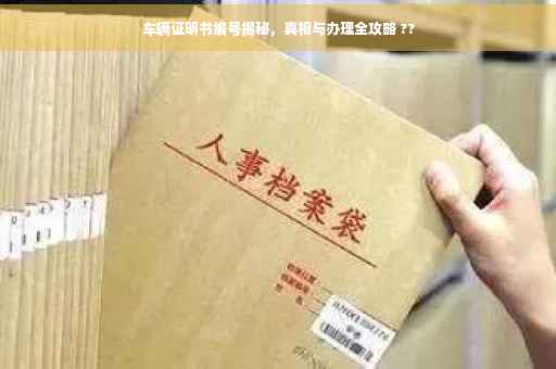 车辆证明书编号揭秘，真相与办理全攻略 ??