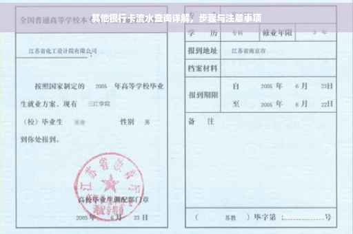 其他银行卡流水查询详解，步骤与注意事项