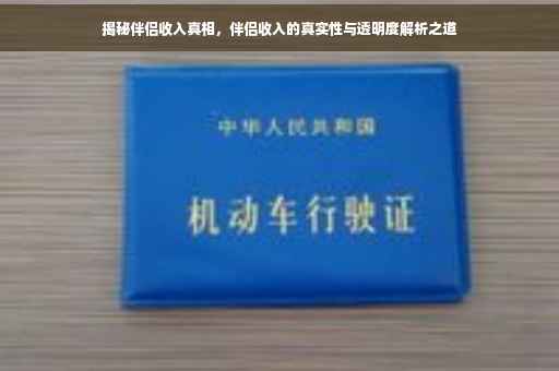 揭秘伴侣收入真相，伴侣收入的真实性与透明度解析之道