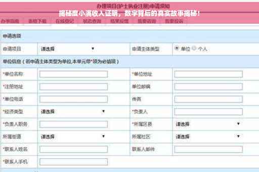 揭秘度小满收入证明，数字背后的真实故事揭秘！