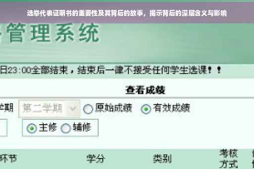 选举代表证明书的重要性及其背后的故事，揭示背后的深层含义与影响