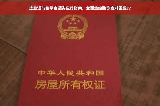 毕业证与奖学金遗失应对指南，全面策略助你应对困境??