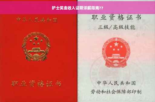 护士奖金收入证明详解指南??