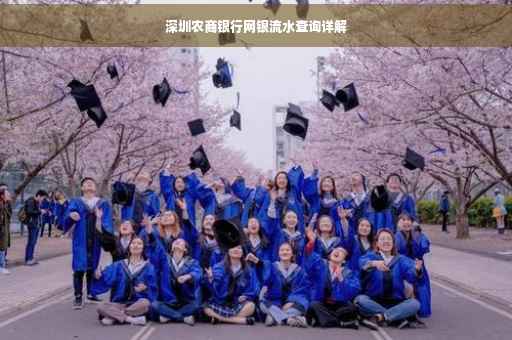 深圳农商银行网银流水查询详解