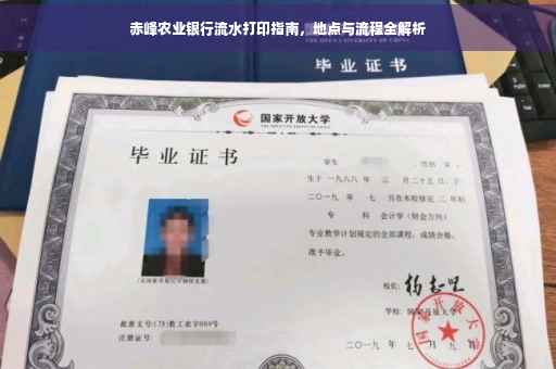 赤峰农业银行流水打印指南，地点与流程全解析