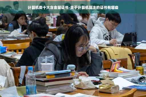 计算机类十大含金量证书-关于计算机算法的证书有哪些