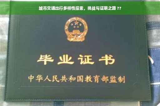 城市交通出行多样性探索，挑战与证明之路 ??