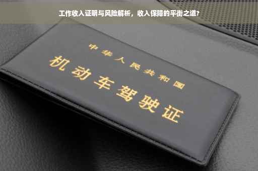 工作收入证明与风险解析，收入保障的平衡之道?