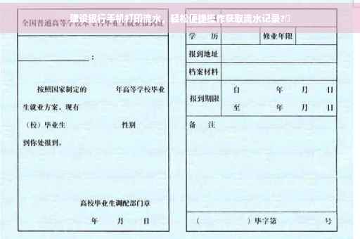 建设银行手机打印流水，轻松便捷操作获取流水记录?✨