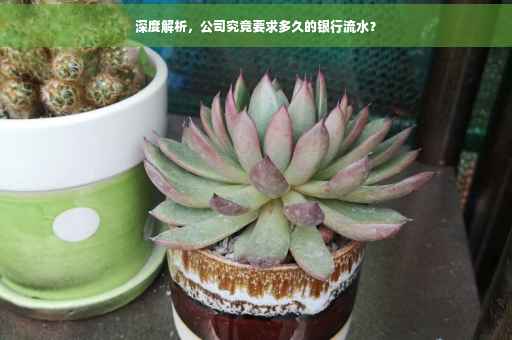 深度解析，公司究竟要求多久的银行流水？