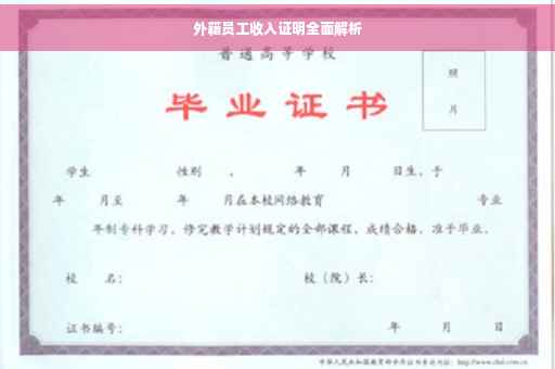 外籍员工收入证明全面解析