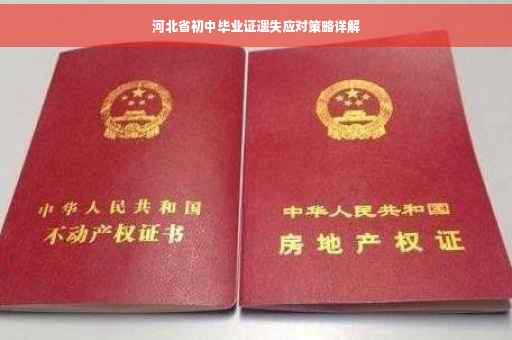河北省初中毕业证遗失应对策略详解