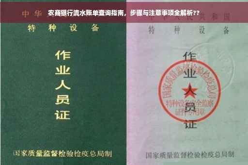 农商银行流水账单查询指南，步骤与注意事项全解析??