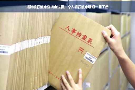 揭秘银行流水查询全过程，个人银行流水明细一目了然