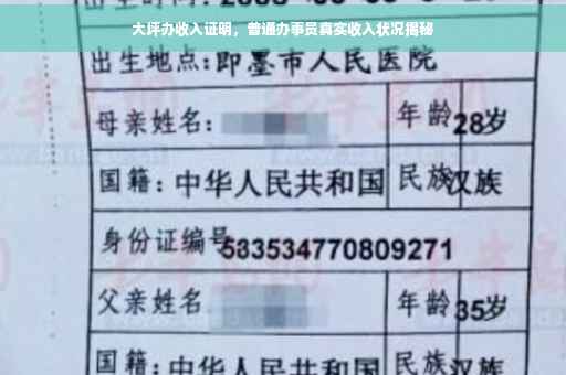 大坪办收入证明，普通办事员真实收入状况揭秘