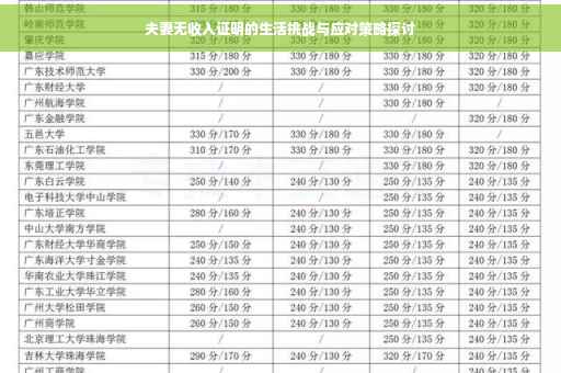 夫妻无收入证明的生活挑战与应对策略探讨