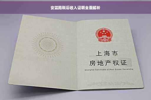 安监局税后收入证明全面解析