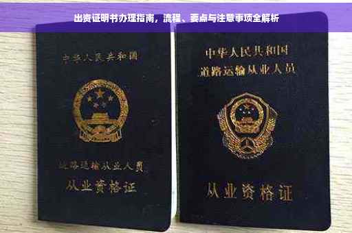 出资证明书办理指南，流程、要点与注意事项全解析