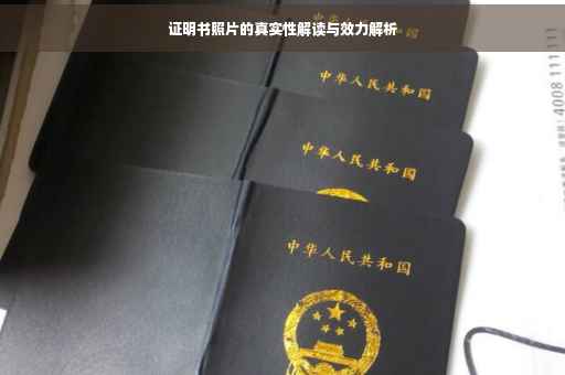 证明书照片的真实性解读与效力解析