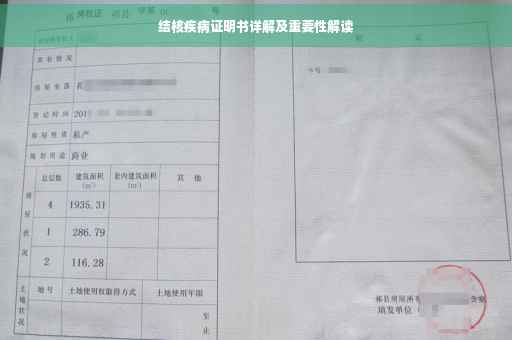 结核疾病证明书详解及重要性解读