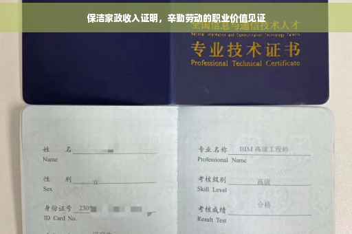 保洁家政收入证明，辛勤劳动的职业价值见证