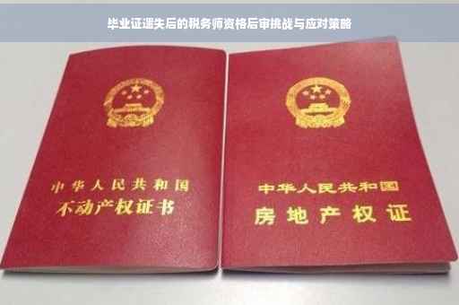 毕业证遗失后的税务师资格后审挑战与应对策略