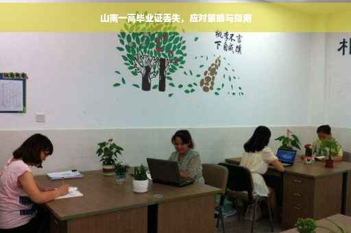 山南一高毕业证丢失，应对策略与指南