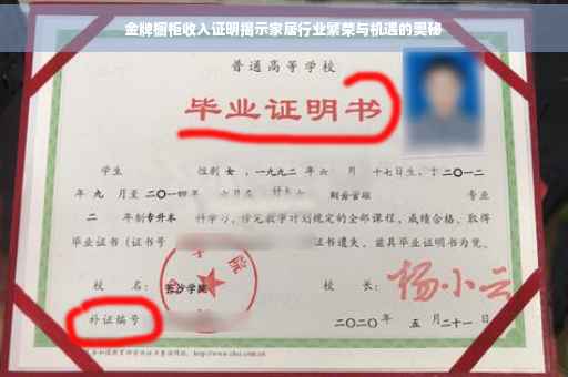 金牌橱柜收入证明揭示家居行业繁荣与机遇的奥秘