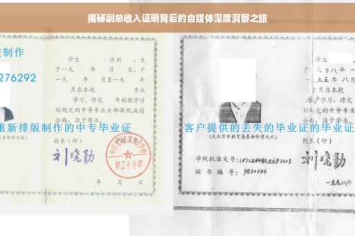 揭秘副总收入证明背后的自媒体深度洞察之旅