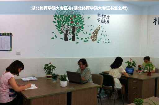 湖北体育学院大专证书(湖北体育学院大专证书怎么考)