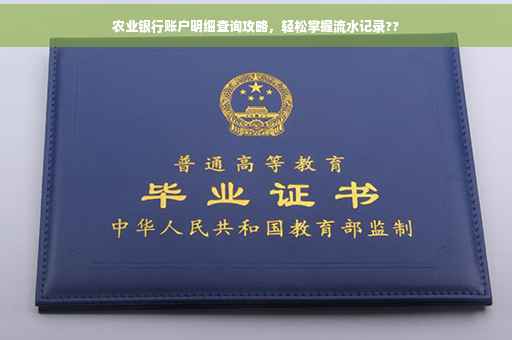 农业银行账户明细查询攻略，轻松掌握流水记录??