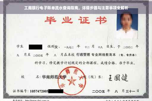 工商银行电子账单流水查询指南，详细步骤与注意事项全解析