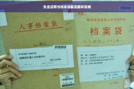 失业证明书样本详解及解析指南