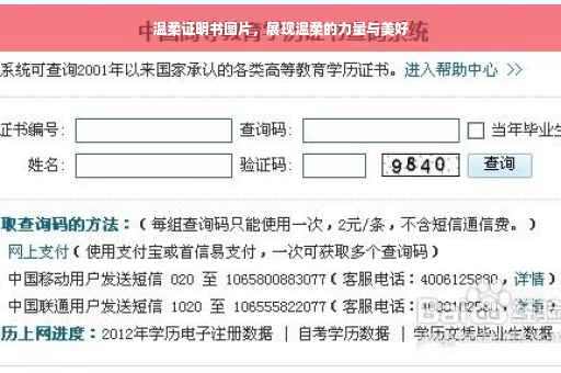 温柔证明书图片，展现温柔的力量与美好
