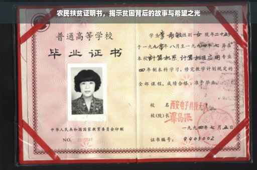 农民扶贫证明书，揭示贫困背后的故事与希望之光