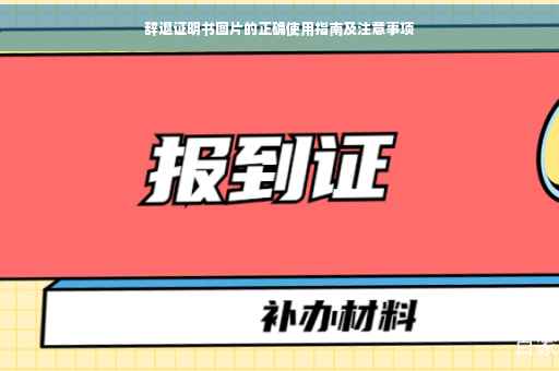辞退证明书图片的正确使用指南及注意事项
