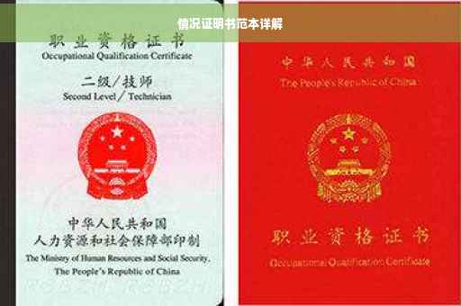 情况证明书范本详解