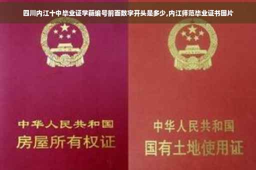 四川内江十中毕业证学籍编号前面数字开头是多少,内江师范毕业证书图片
