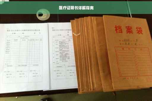 医疗证明书详解指南