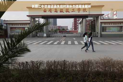 长阳二中毕业证丢失应对及补办流程全解析