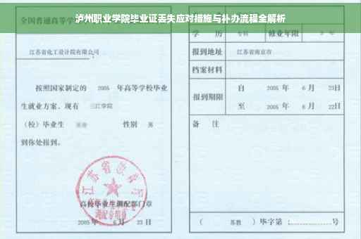 泸州职业学院毕业证丢失应对措施与补办流程全解析