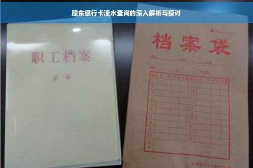 股东银行卡流水查询的深入解析与探讨
