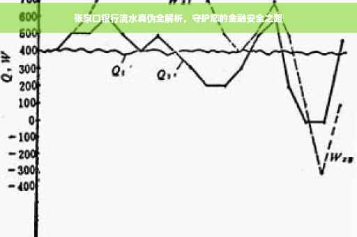 张家口银行流水真伪全解析，守护您的金融安全之路