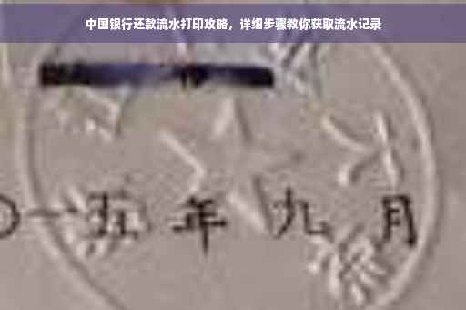 中国银行还款流水打印攻略，详细步骤教你获取流水记录