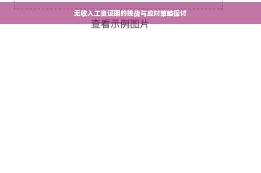 无收入工资证明的挑战与应对策略探讨