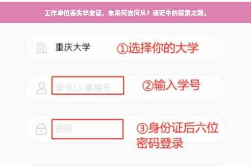 工作单位丢失毕业证，未来何去何从？迷茫中的探索之路。